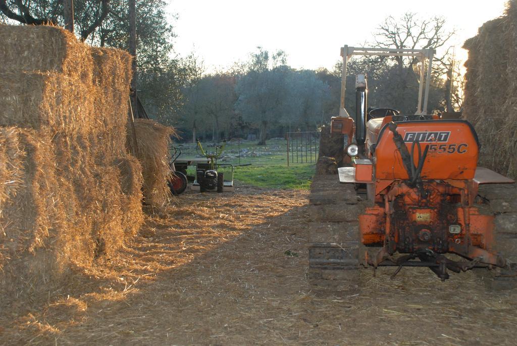 Podere Conte Racani Amelia Exterior foto