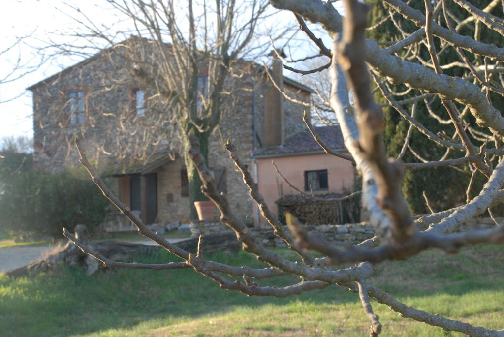 Podere Conte Racani Amelia Exterior foto