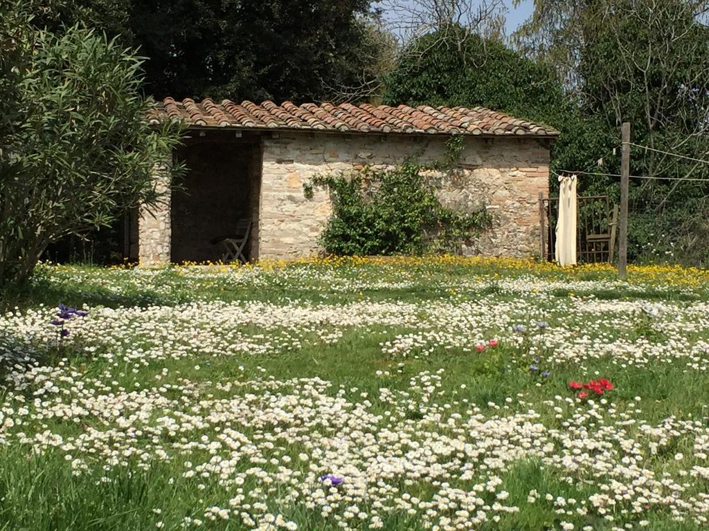Podere Conte Racani Amelia Exterior foto