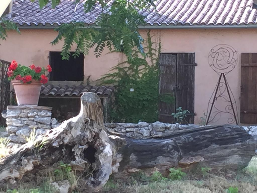 Podere Conte Racani Amelia Exterior foto