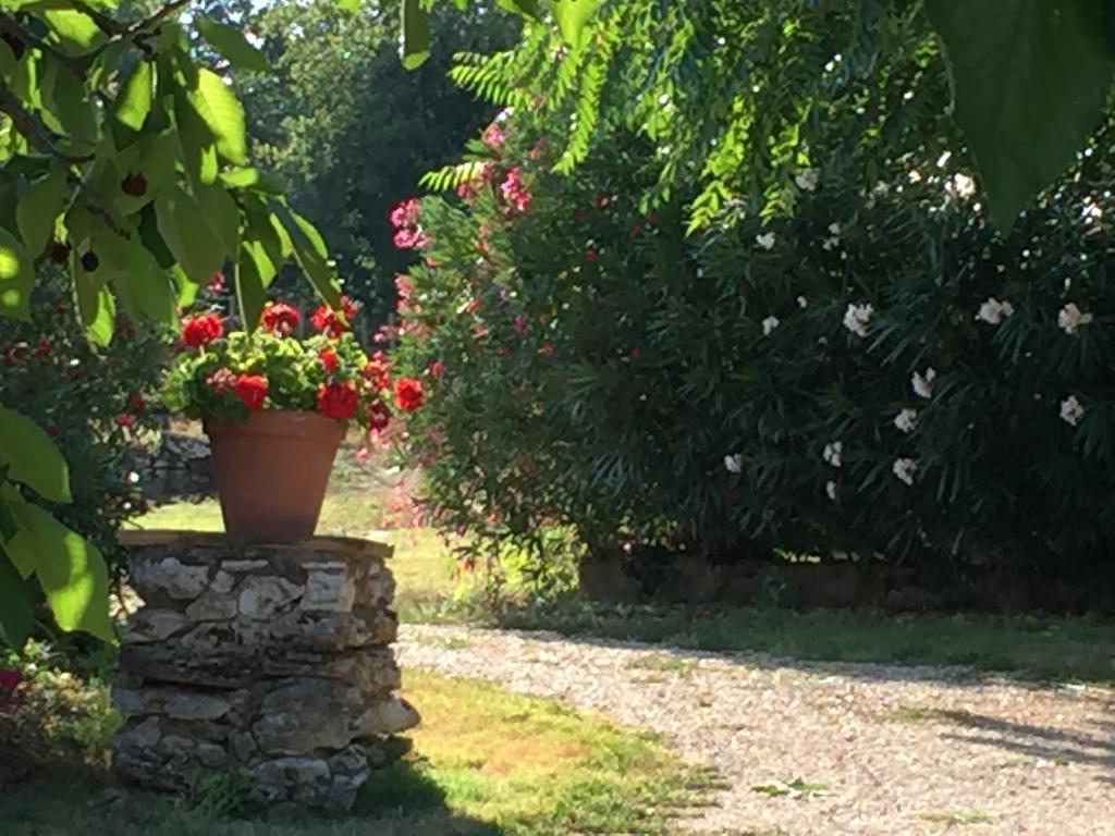 Podere Conte Racani Amelia Exterior foto