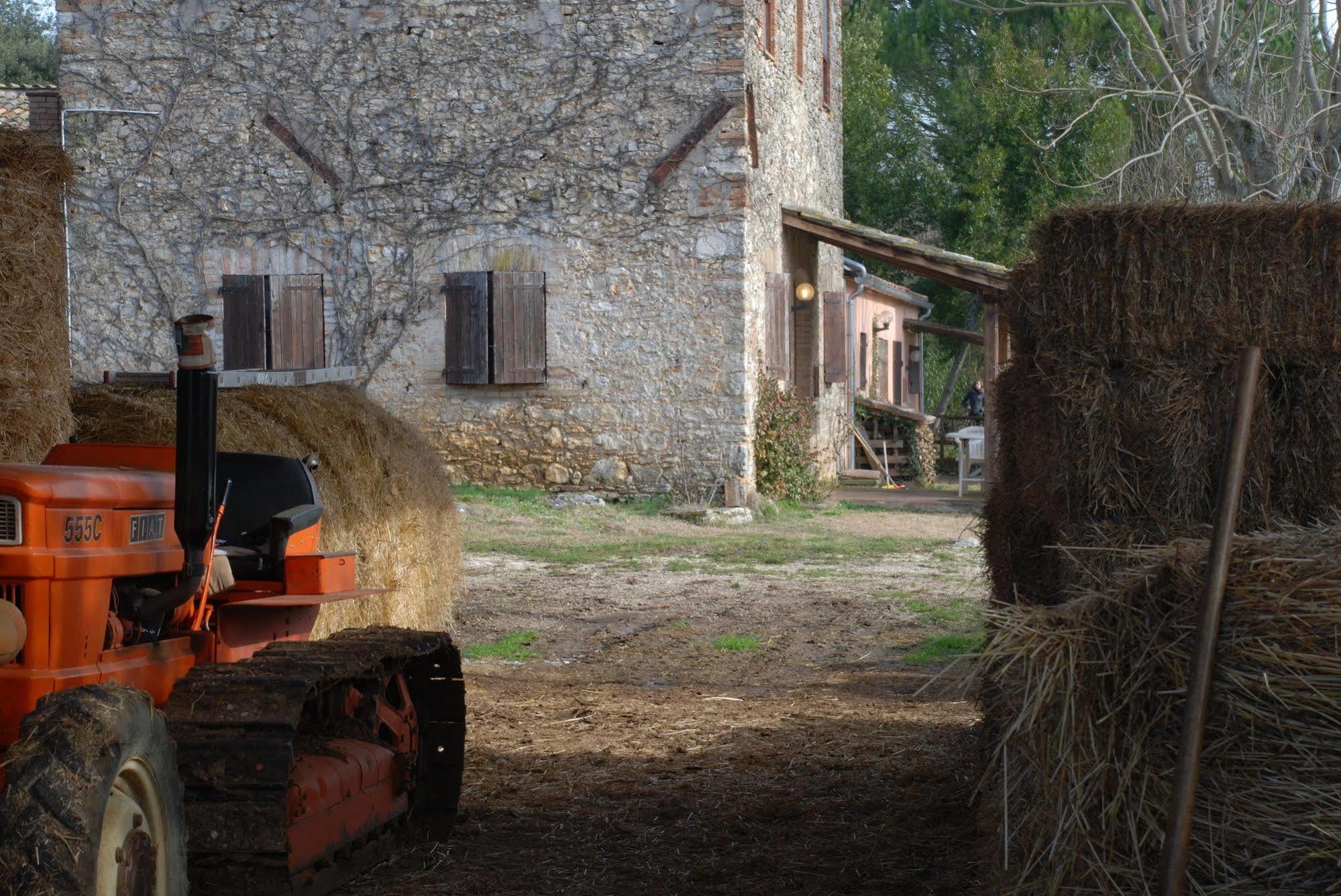 Podere Conte Racani Amelia Exterior foto
