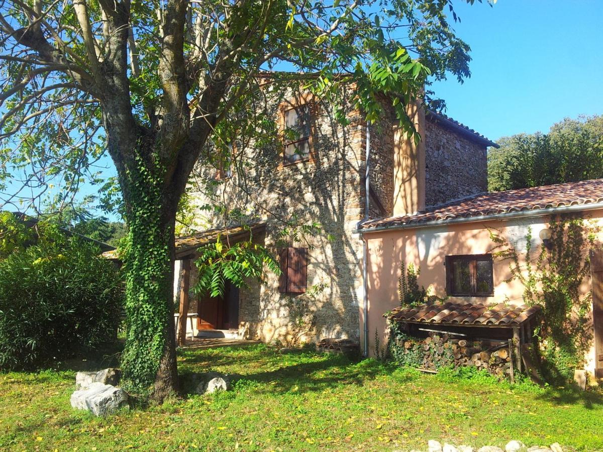 Podere Conte Racani Amelia Zimmer foto